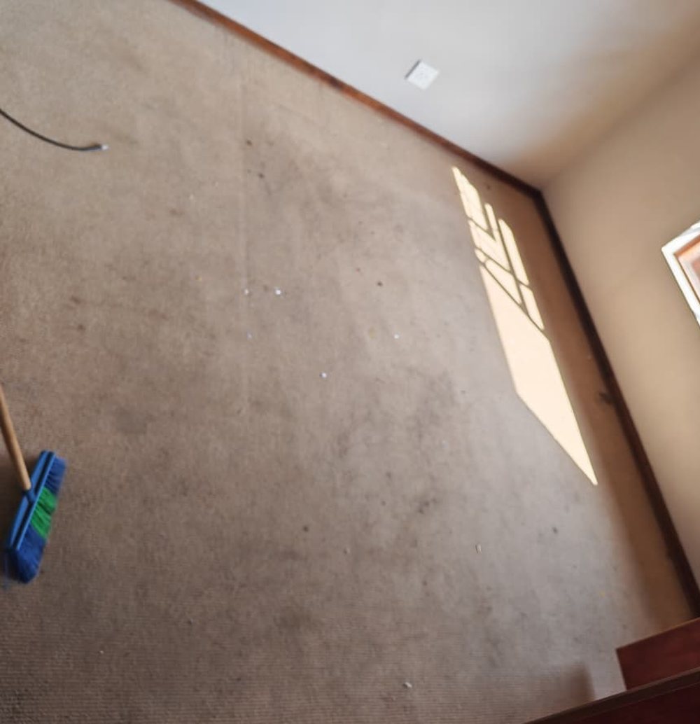 Bedroom carpet before cleaning, marked and greyed with traffic soiling